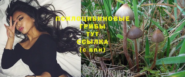 MESCALINE Богданович