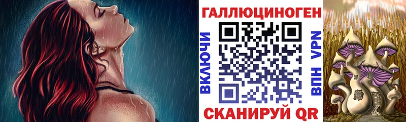 Галлюциногенные грибы Cubensis купить наркотики цена Гаврилов-Ям